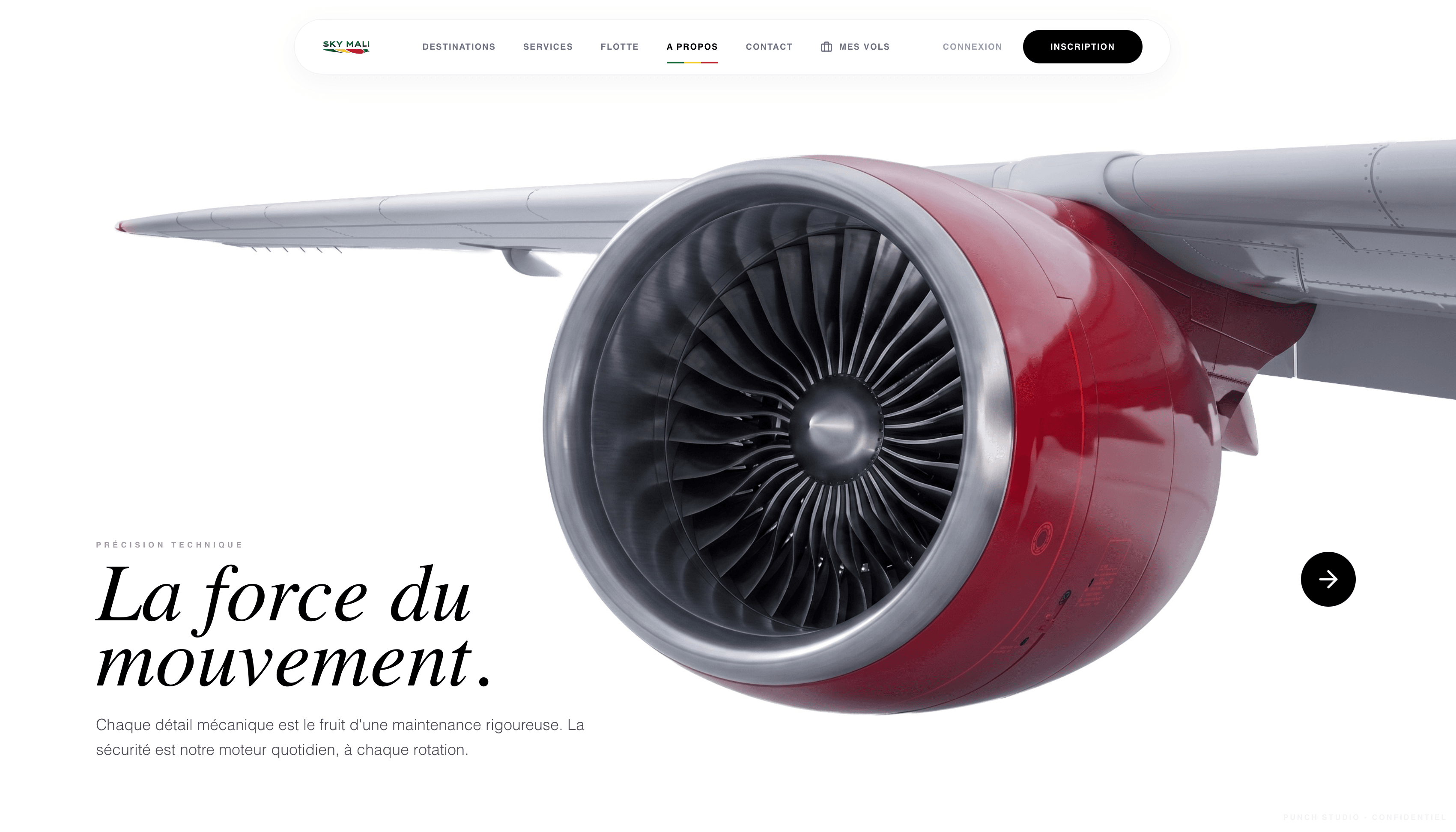 Sky Mali screenshot 6