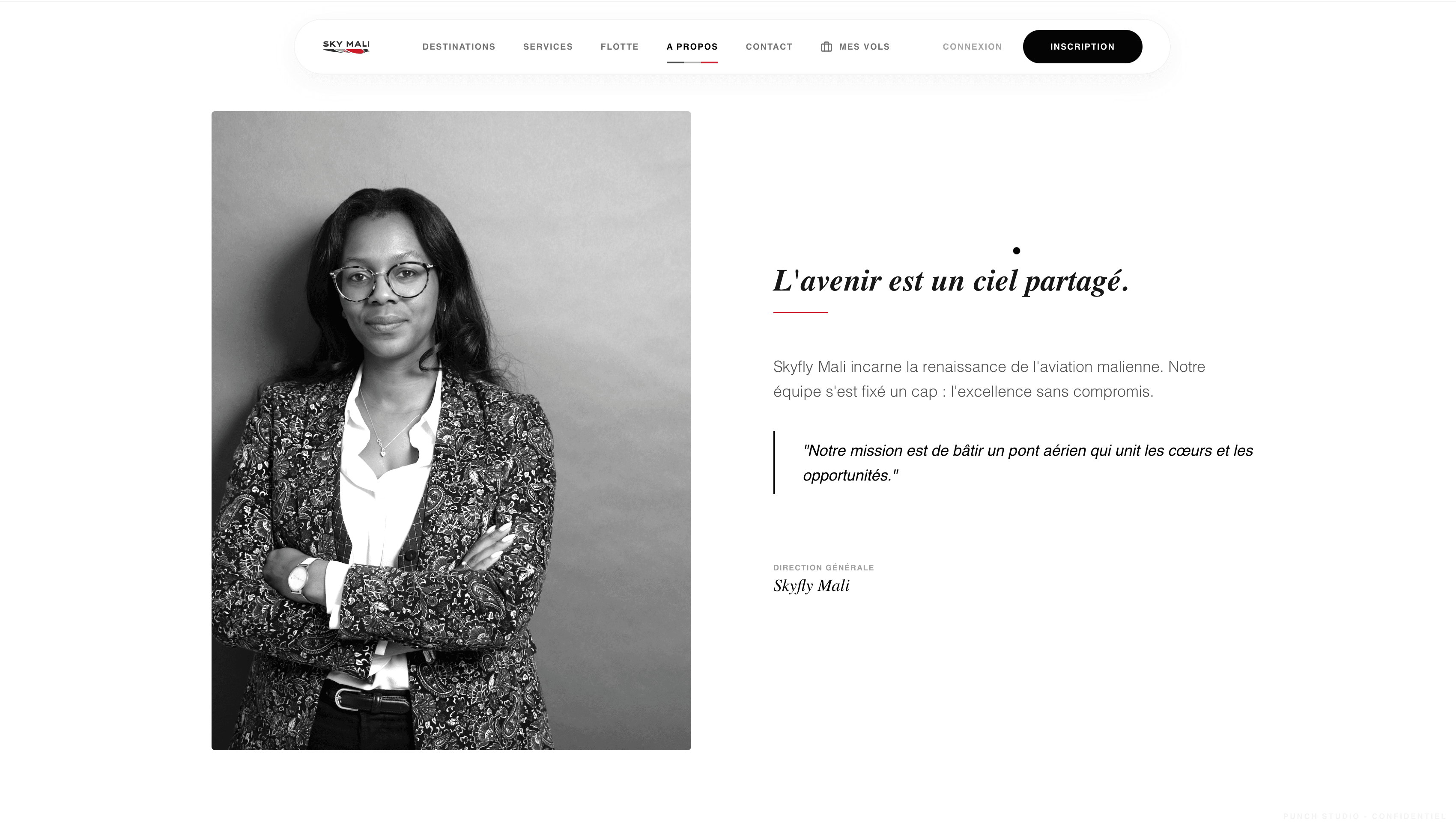 Sky Mali screenshot 7